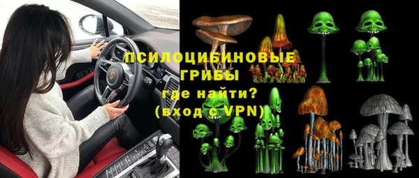 эйфоретик Баксан
