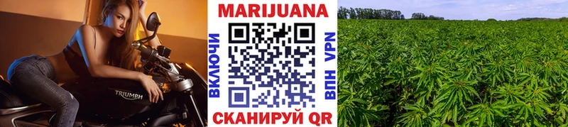 Купить  Сусуман  Каннабис Amnesia 